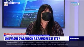 Maltraitance animale: la présidente de la SPA des  Alpes du Sud reconnaît qu'il est "compliqué d'intervenir"