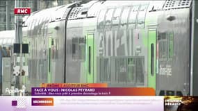 Face à vous : Sobriété, êtes-vous prêt à prendre davantage le train ? - 27/07
