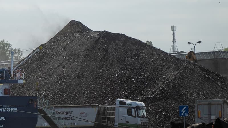 Du charbon dans le port de Gdansk le 1er juin 2023 (photo d'illustration)