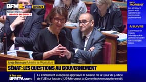 Mercosur: "Ce vote doit être respecté", assure Annie Genevard après la saisine de la Cour de justice de l'Union européenne par le Parlement européen