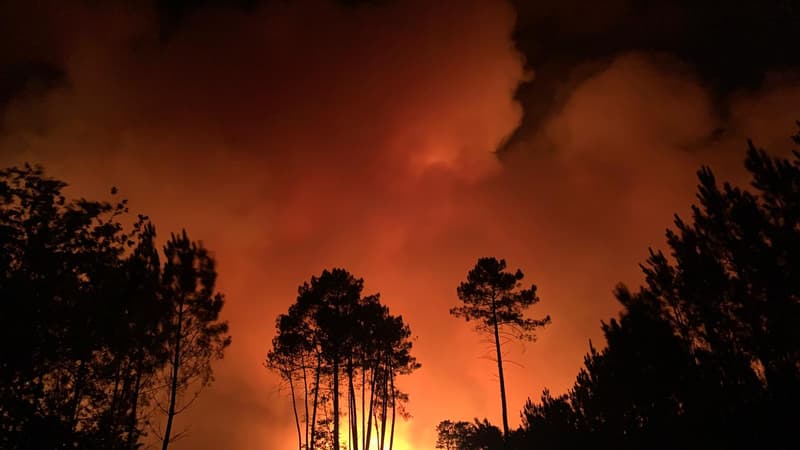 EN DIRECT - Incendie en Gironde: 6600 hectares de forêt ont brûlé, 1100 pompiers mobilisés
