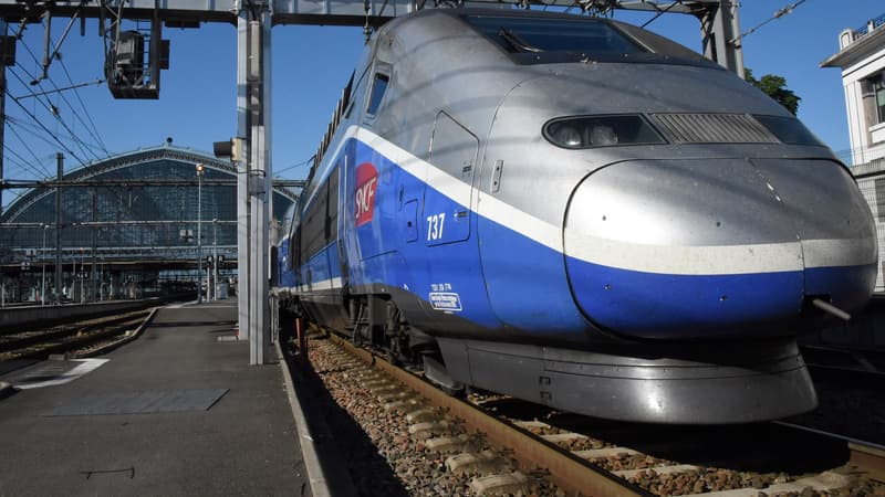 La jeune femme s'est accrochée au wagon du TGV (photo d'illustration).