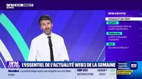 Les pros des cryptos récapitulent l'information de l'écosystème des cryptomonnaies