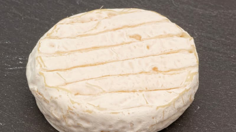 Un fromage de chèvre "pélardon" (image d'illustration).