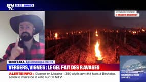 Épisode de gel: "Ça a tout d'une catastrophe agricole", selon Serge Zaka, agro-climatologue