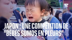 Au Japon, la compétition des "bébés sumos en pleurs" fait son retour