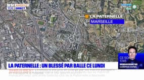 Marseille: un policier blesse un individu par balle à la cité de la Paternelle 