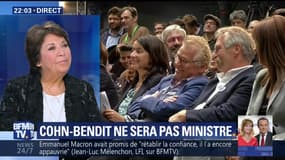 Ministre de l'écologie: Cohn-Bendit ne remplacera pas Hulot (1/3)