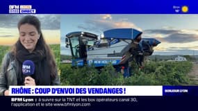 Rhône: coup d'envoi des vendanges