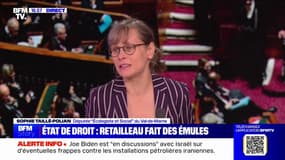État de droit: "Ce qui gêne les Républicains, c'est les droits de l'Homme", estime la députée "Écologiste et Social" Sophie Taillé-Polian