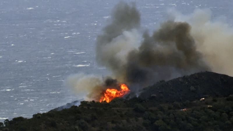 Incendie dans les Pyrénées-Orientales: le feu est désormais 