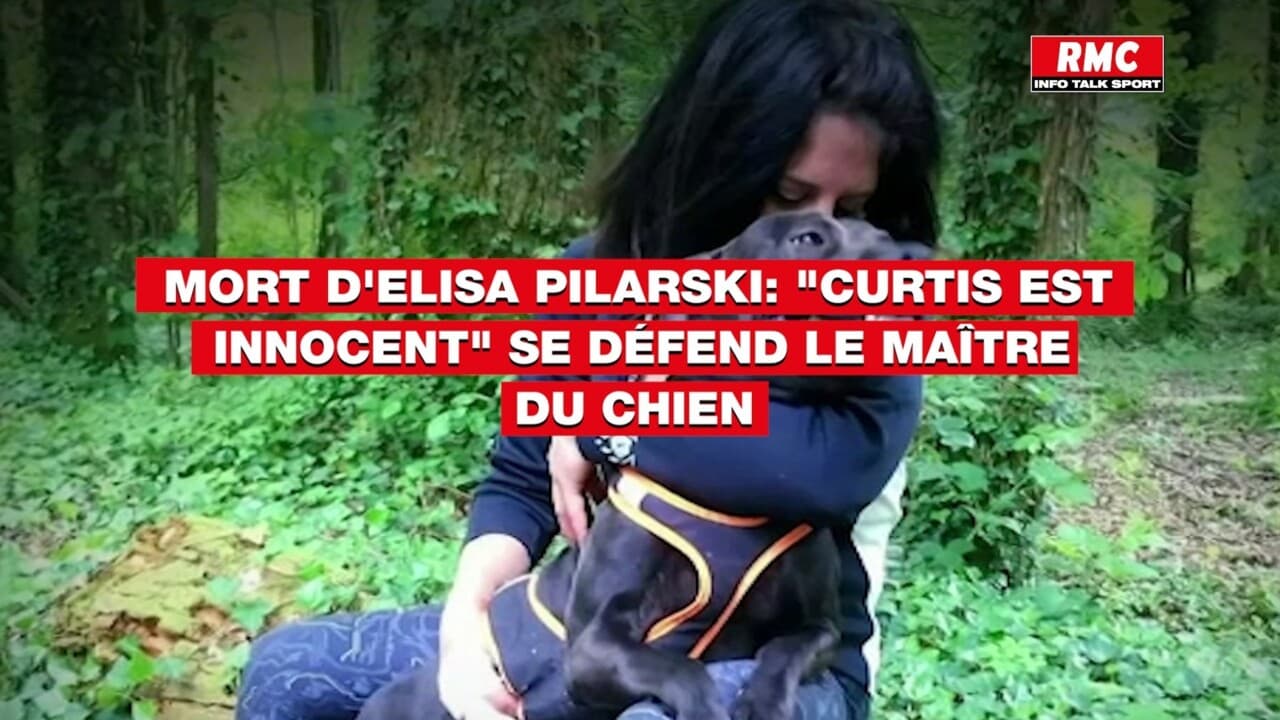 Mort D Elisa Pilarski Curtis Est Innocent Se D fend Le Ma tre Du Chien mort-d-elisa-pilarski-curtis-est-innocent-se-d-fend-le-ma-tre-du-chien