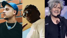 PLK, Werenoi et Nicola Sirkis (Indochine), en tête des meilleures ventes d'albums 2024