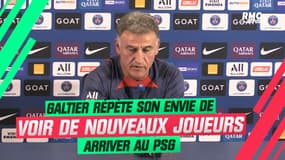 PSG : Galtier répète sa volonté de voir arriver de nouveaux joueurs