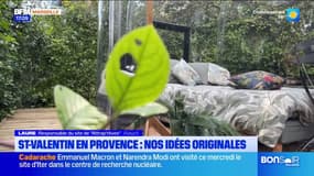 Nos idées originales pour passer la Saint-Valentin en Provence