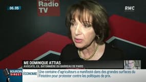 Affaire Daval: "Ce n'est pas au gouvernement ni à Marlène Schiappa de venir s'immiscer dans le droit de la défense" selon Dominique Attias, avocate et ancienne bâtonnière de Paris