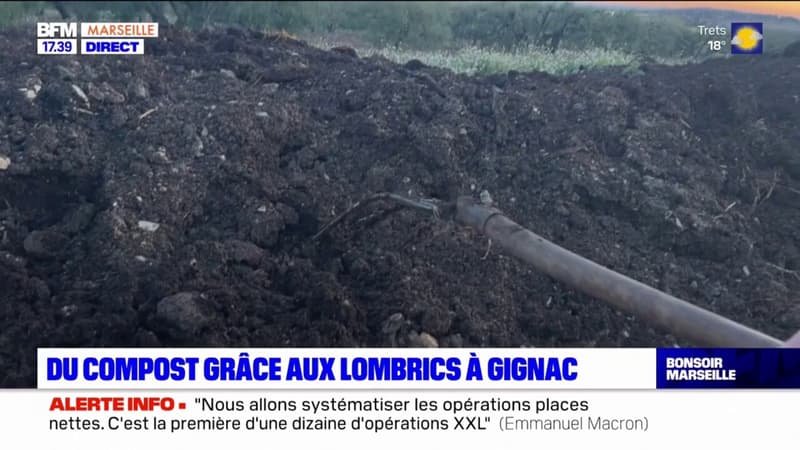 Gignac-la-Nerthe: du compost grâce aux lombrics