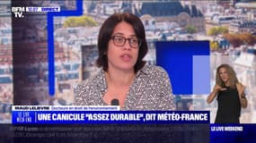 Une canicule "assez durable", dit Météo-France - 10/08