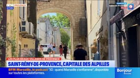 Les plus beaux villages de Provence: découverte de Saint-Rémy-de-Provence