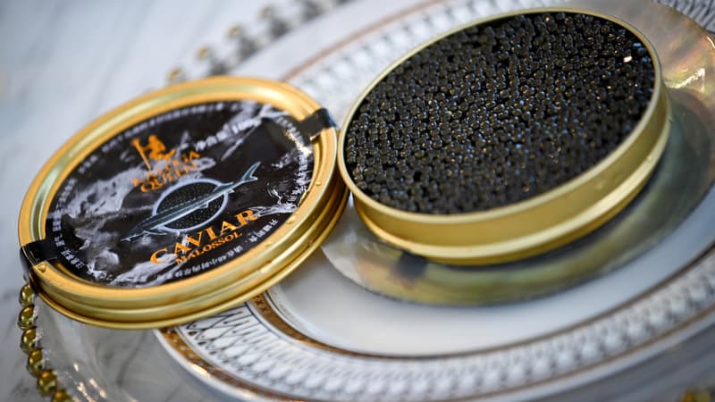 En fonction des espèces, le prix du kilo varie entre 10.000 et 180.000 yuans (1.300 et 23.000 euros).