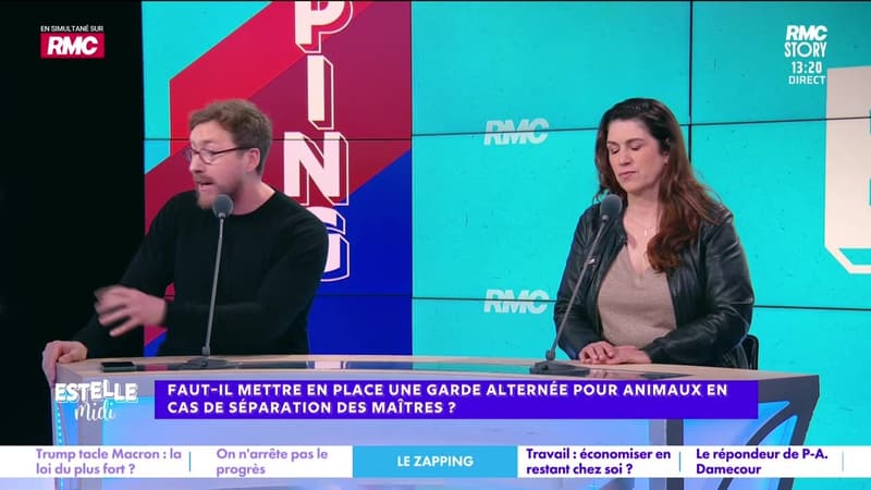 Le Zapping RMC - 02/04