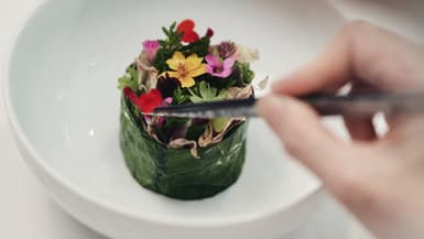 DIOR X ANNE-SOPHIE PIC 