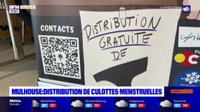 Mulhouse: des culottes menstruelles distribuées sur le campus