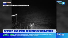 Dévoluy: une soirée aux côtés des louvetiers