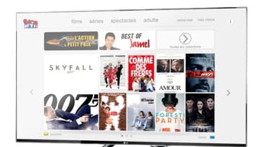 Le chiffre d'affaires de TF1 Vidéo (qui inclut DVD et VoD) a été divisé par deux entre 2007 et 2012