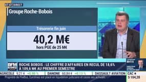Guillaume Demulier (Roche-Bobois) : Le chiffre d'affaires en recul de 18,6% au premier semestre - 22/07