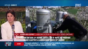 Aurélien Esprit, arboriculteur à Pont-de-l’Isère, dans la Drôme, qui a perdu sa production cet hiver: "Je sais que l'Etat travaille, mais on n'a toujours pas perçu les aides"