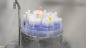Des flacons contenant des spermatozoïdes congelés dans l'azote liquide en cours de préparation aux Centres d'étude et de conservation des œufs et du sperme humains (CECOS) du CHU de Rennes, dans l'ouest de la France, le 12 mars 2024. (illustration)