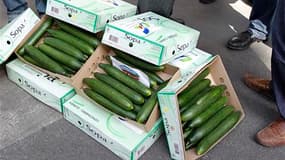 La Commission européenne a revu mercredi à la hausse son offre de compensation des producteurs de légumes touchés par la crise de l'E. coli. Après avoir été vivement critiqué mardi par plusieurs ministres européens de l'Agriculture, l'exécutif communautai