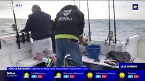 Calais: des pêcheurs initient les touristes à la pêche