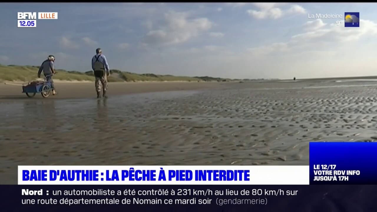 PasdeCalais la pêche à pied interdite dans la baie d'Authie