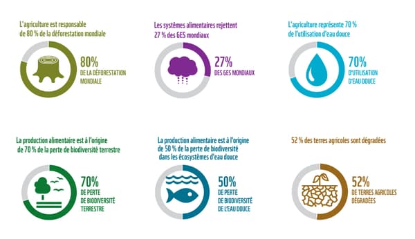 Les conséquences de la production alimentaire en 2021 dans le monde.