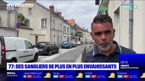 L'essentiel de l'actualité parisienne du mardi 21 juin 2022 