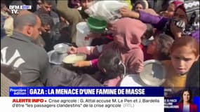 La menace d'une famine de masse plane sur la population de la bande de Gaza