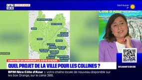 "Préserver l'esprit village": quels sont les projets de la ville pour les collines niçoises? 