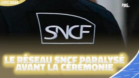 Transports JO 2024 : "On nous a demandé de renoncer à notre voyage", des actes de malveillances paralysent le réseau SNCF