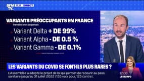 Les variants du Covid-19 se font-ils plus rares ? BFMTV répond à vos questions