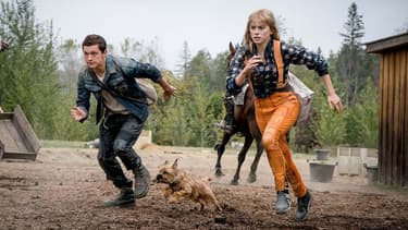 Tom Holland et Daisy Ridley dans "Chaos Walking"