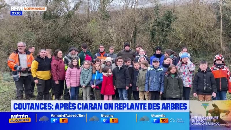 Coutances: après la tempête Ciaran, la ville lance un programme de reboisement