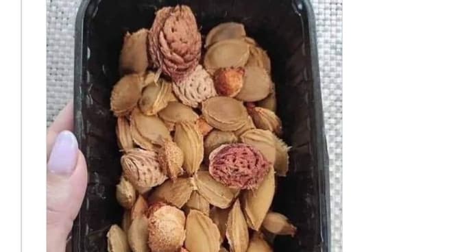 Un tweet publié en juillet 2023 et largement partagé, invitant les automobilistes à semer des noyaux de fruits en les jetant par leur fenêtre sur la route.