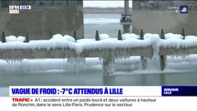 Jusqu'à -7°C à Lille: les habitants se préparent à affronter la vague de froid