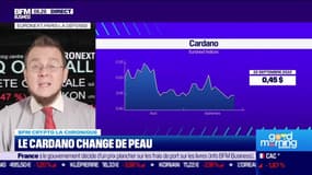 BFM Crypto : Le Cardano change de peau - 23/09