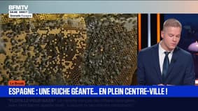 Le break du 2 octobre