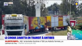 Le cirque Zavatta a quitté Saint-Laurent-du-Var pour Antibes