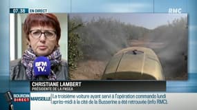 Glyphosate: "Il faut des solutions plus que des interdictions", estime la présidente de la FNSEA