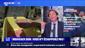 Peut-on savoir si des fruits et légumes achetés dans le commerce sont génétiquement modifiés? BFMTV répond à vos questions